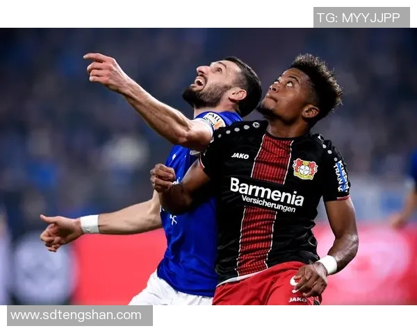 沙尔克04不敌勒沃库森，德甲遭遇三连败之困