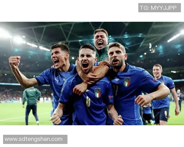 欧洲杯比赛:比利时队力克意大利队晋级四强 欧洲杯比赛:比利时队力克意大利队晋级四强