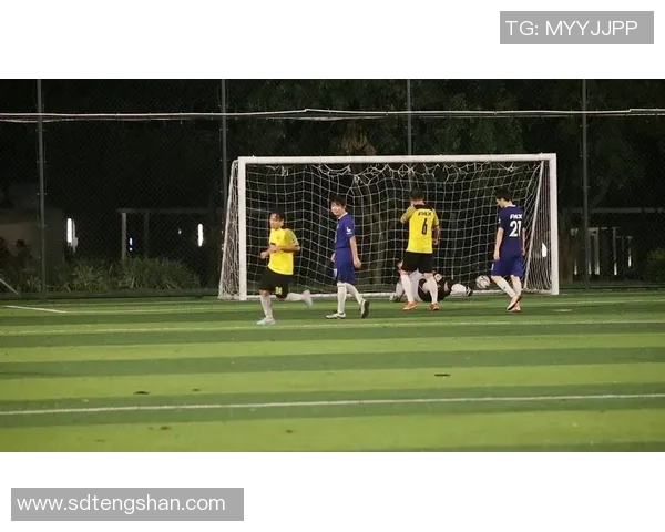 山东与武汉足球对决直播全程回顾精彩瞬间与赛后分析